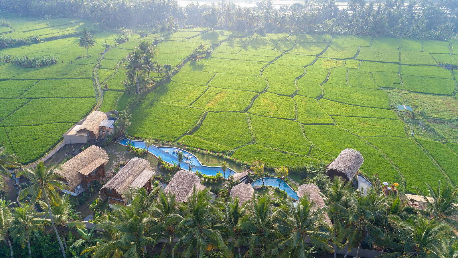 BEEHOUSE DIJIWA UBUD