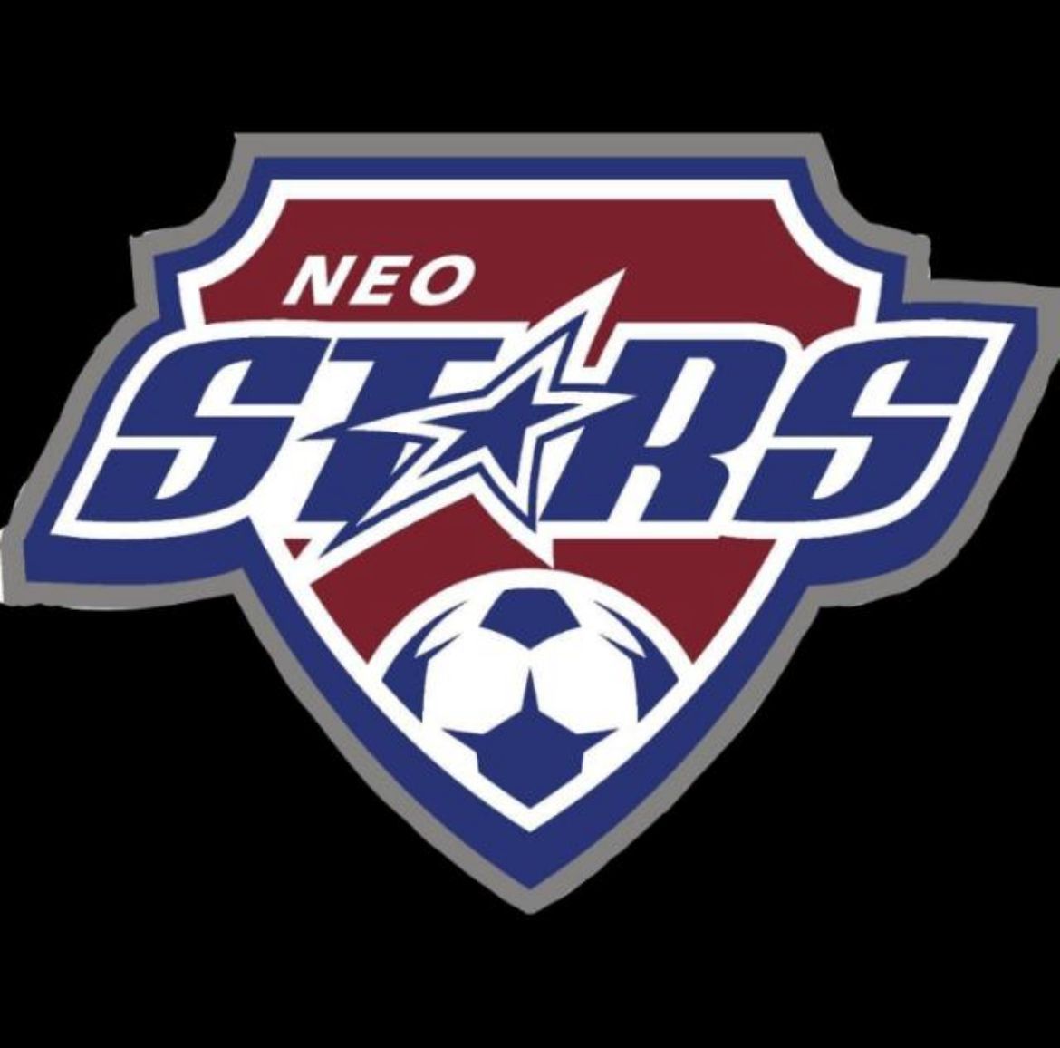 SSB NEO STARS