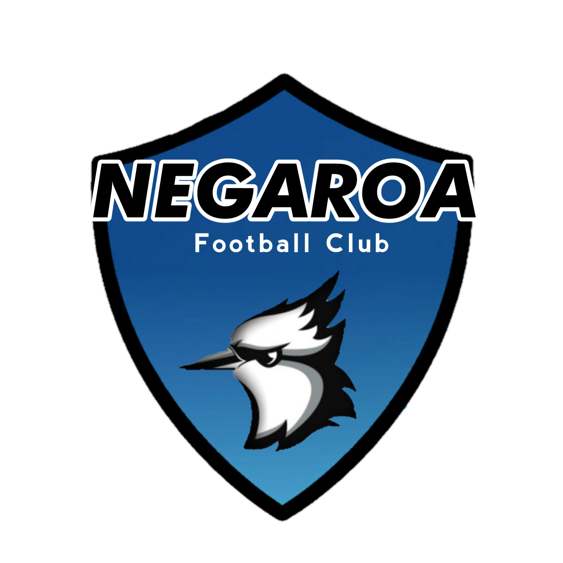 NEGAROA FA
