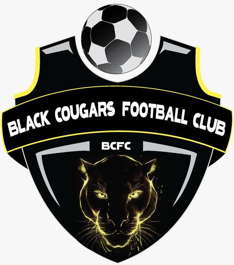 Black Cougars FC