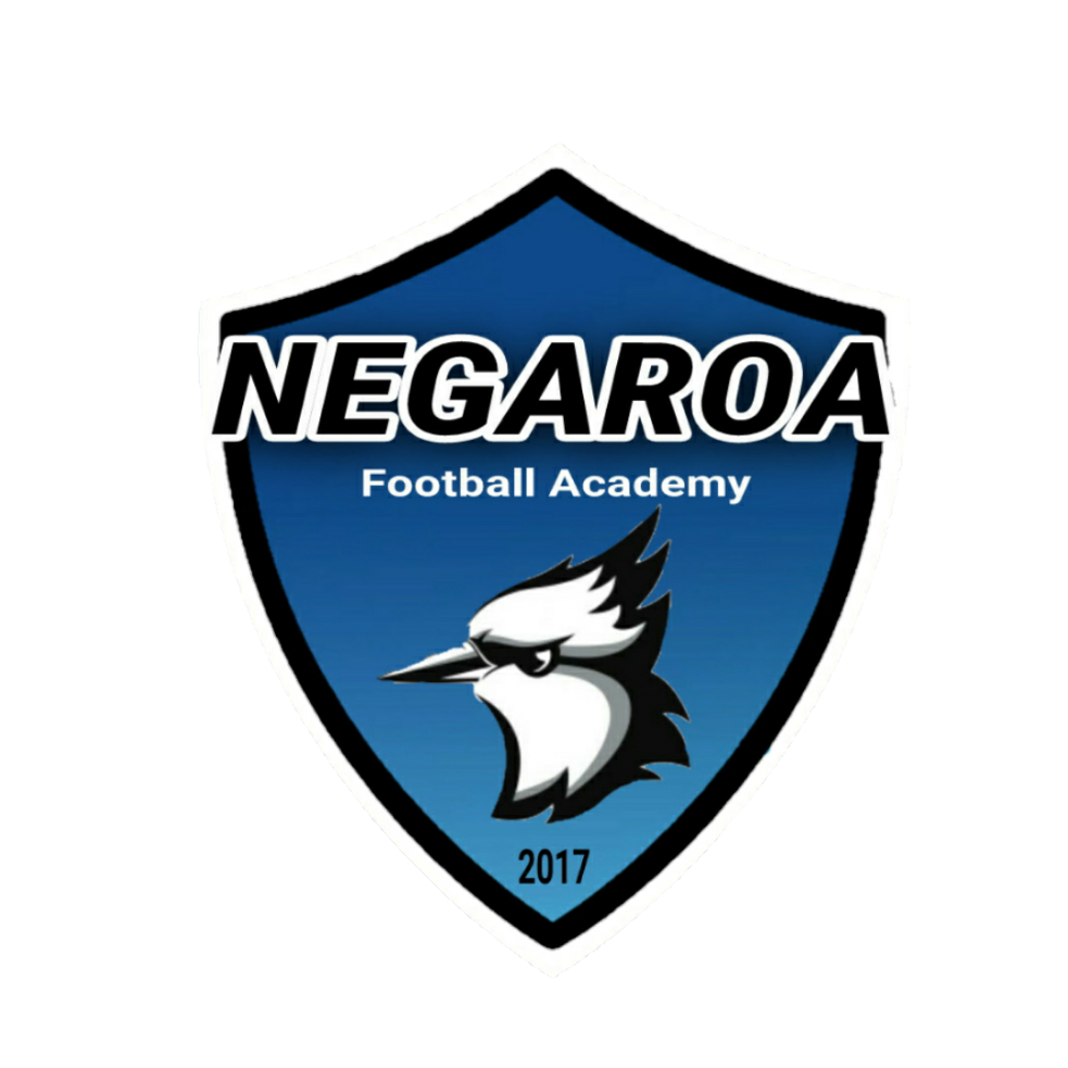 Negaroa FA